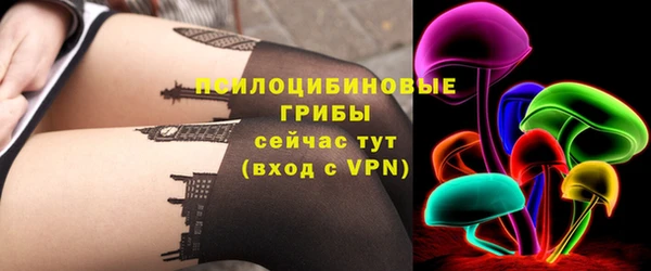 хмурый Белокуриха