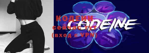 хмурый Белокуриха