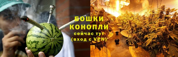 хмурый Белокуриха