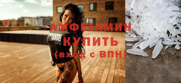 хмурый Белокуриха