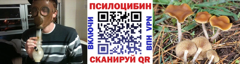 купить наркотики сайты  omg маркетплейс  Псилоцибиновые грибы Psilocybe  Чайковский 